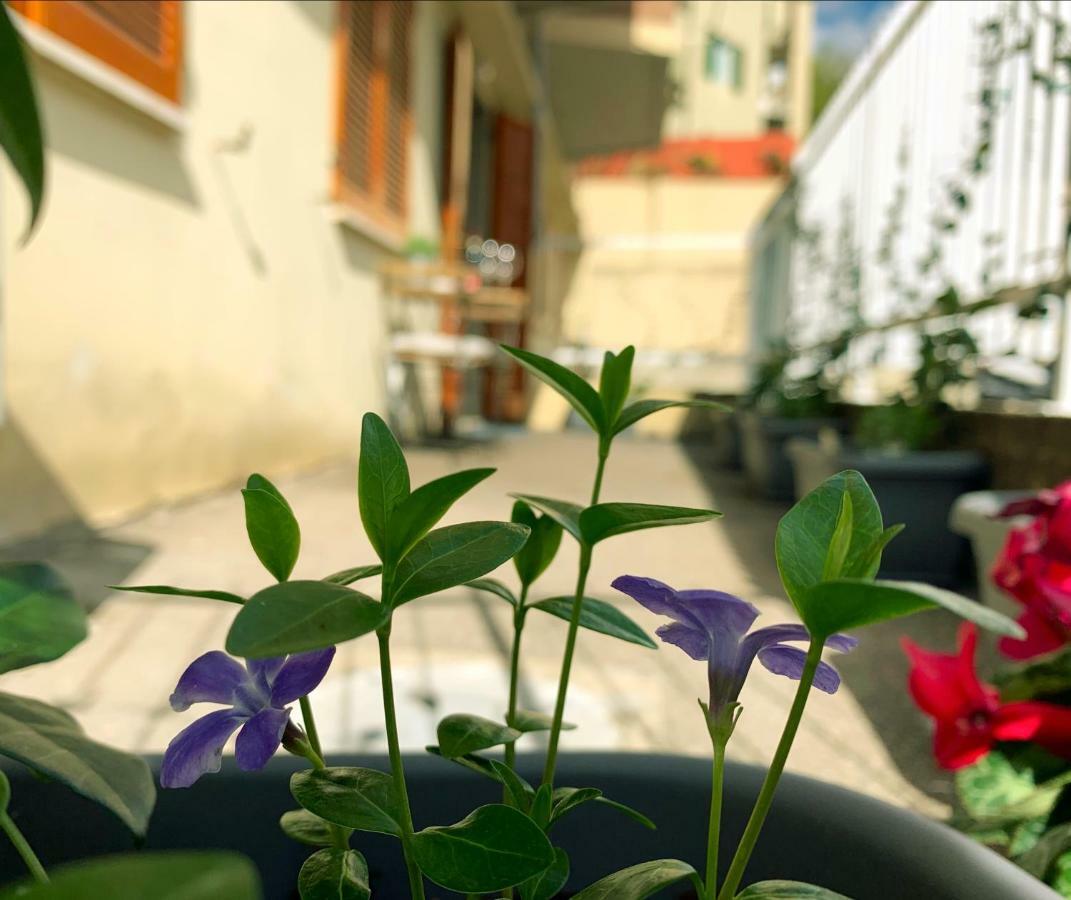 Open The Classic Wooden Shutters At A Cozy City Nest فلورنس المظهر الخارجي الصورة